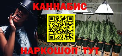 прущий лед Будённовск