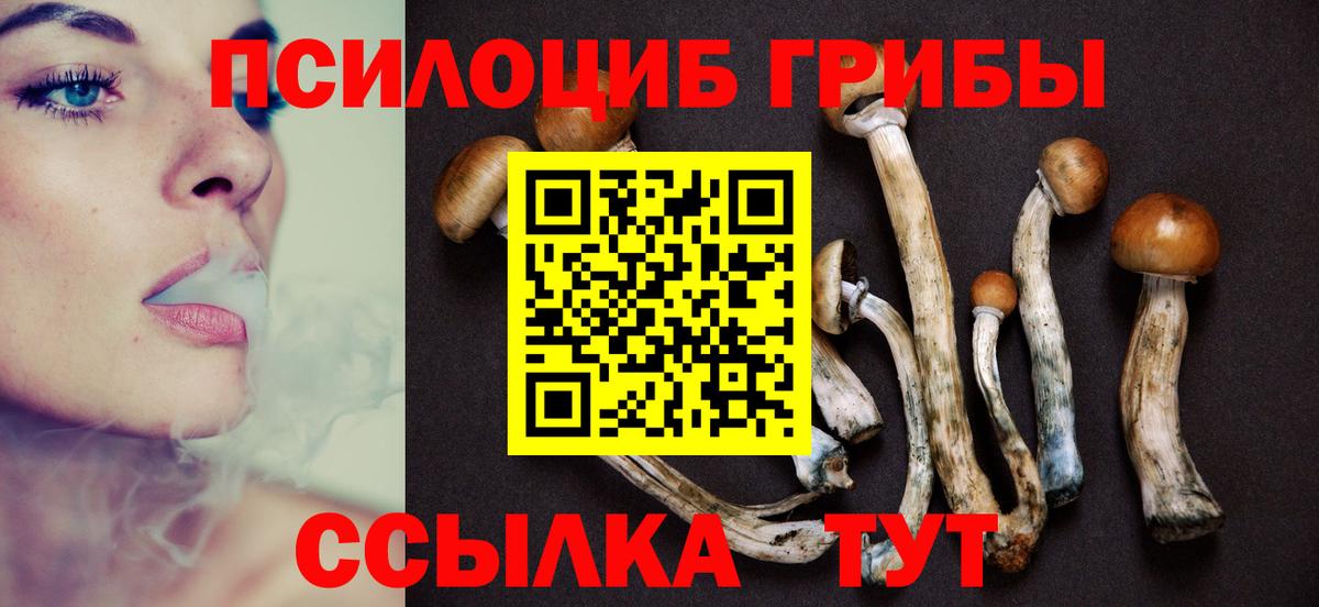 ГАШ Коряжма
