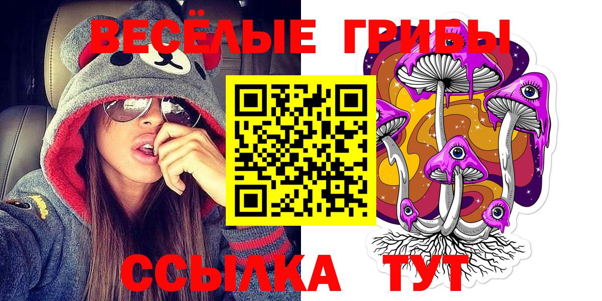наркошоп  Вход с VPN  Коряжма  Галлюциногенные грибы Cubensis 